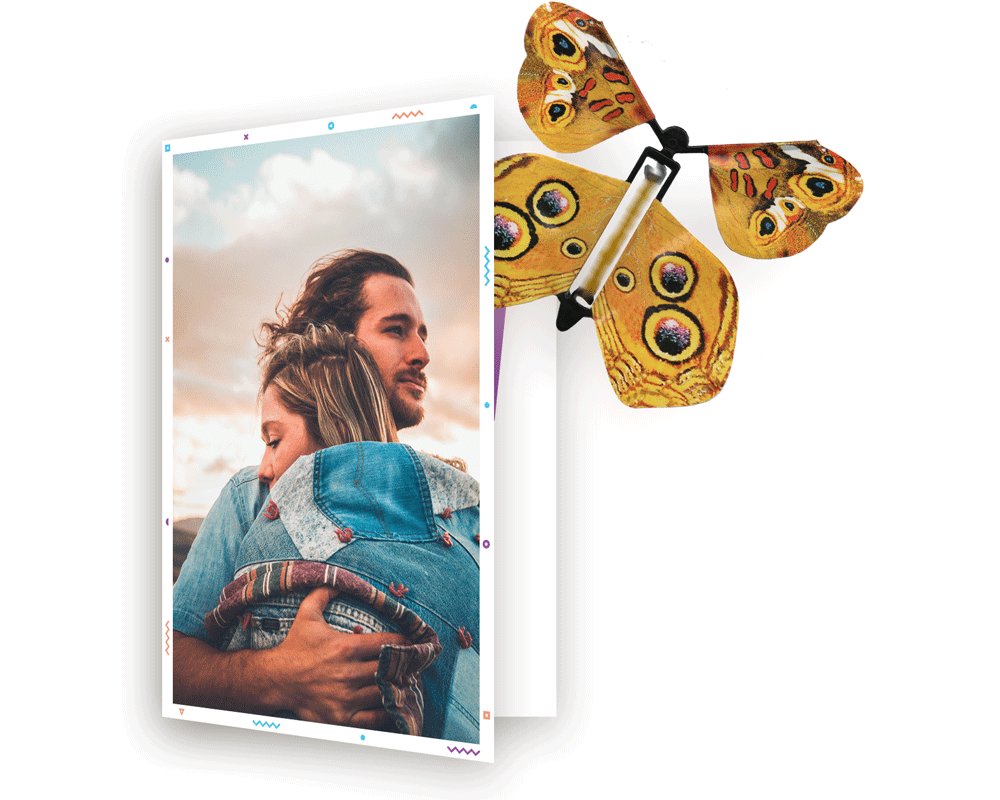 Poofli Butterfly