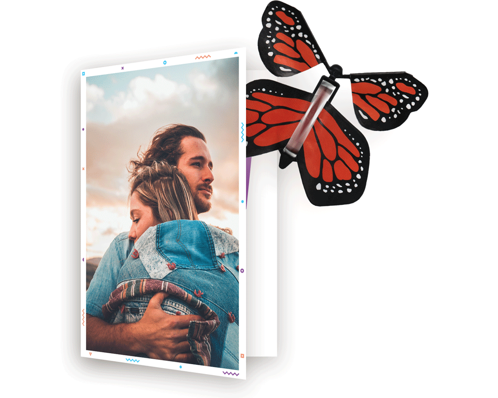 Poofli Butterfly